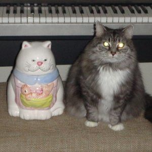 Cat-shaped cookie jar holds large bag of cookies or other goodies.